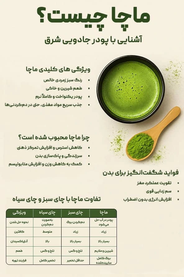 ماچا چیست؟